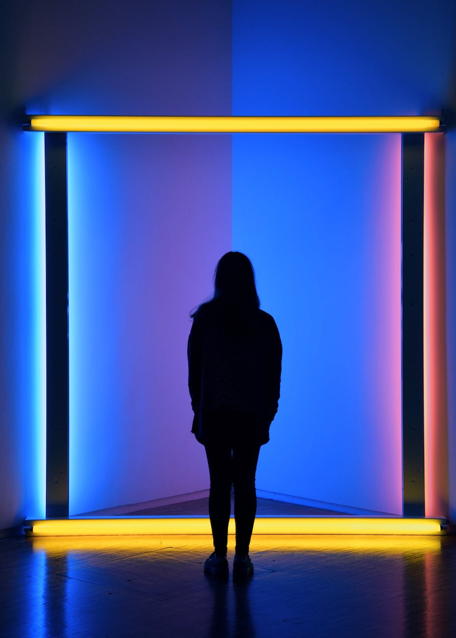 artsy back view silhouette photo of woman standing in front of neon lit room