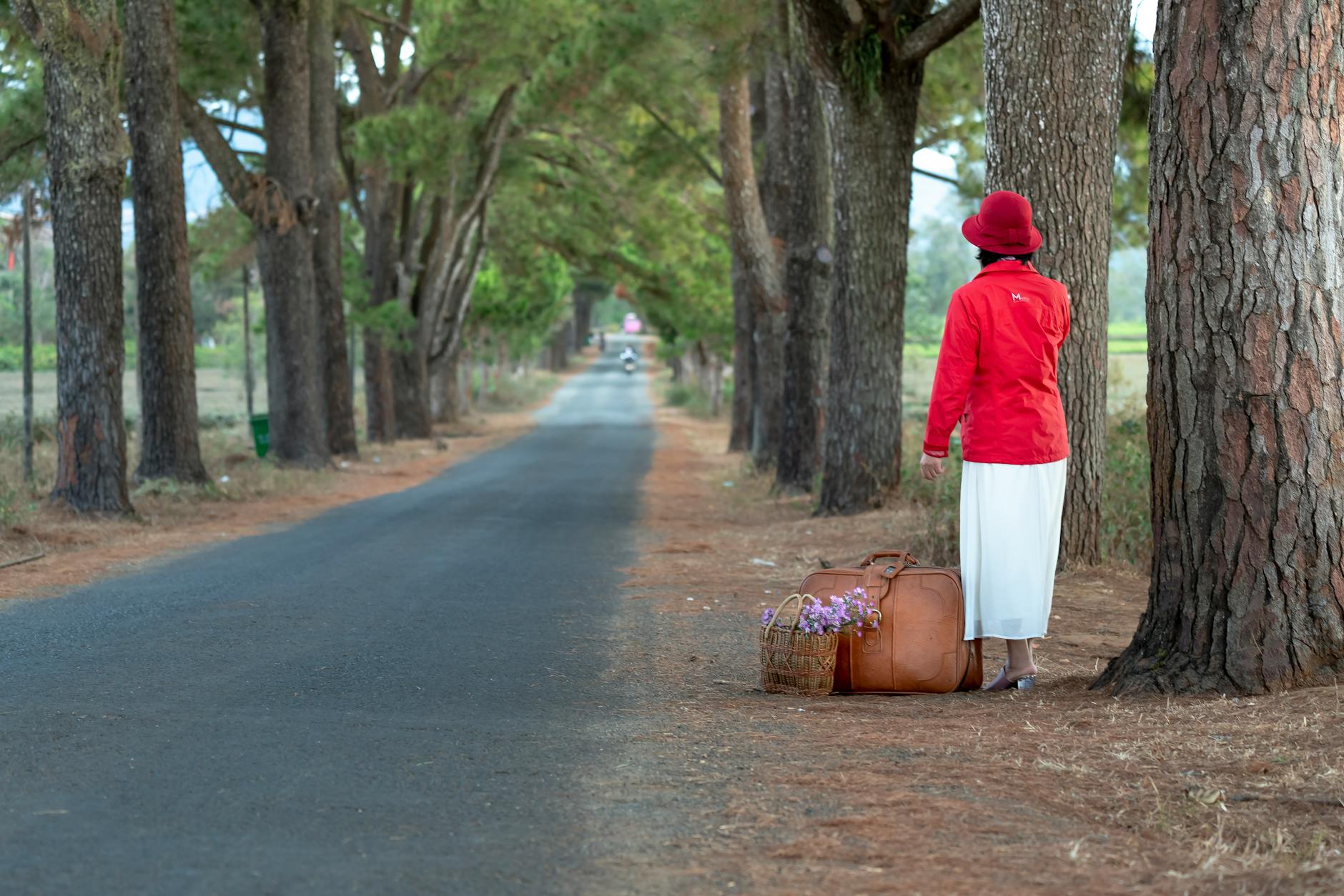 woman standing beside tall tree near road